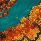 Satellite image of mangrove forest (red) in Guinea Bissau