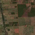 Large areas of the Amazon are cleared for agriculture in Mato Grosso