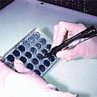 Drug-resistant TB is found by growing bacterium in a dish containing TB drugs; if the bacteria grow, they are resistant