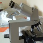 The union hopes to increase awareness within the scientific community regarding research ethics