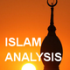 Islam Analysis: Technology's missing link