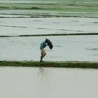 Caught in the monsoon rain in India