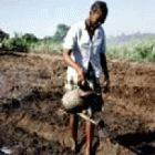 Science and innovation will be used to improve crops in Mozambique