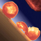 Nanoparticles