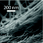 Nanotubos de carbono en fibras de algodón