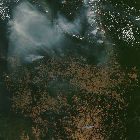 Incendios forestales en la Amazonia 