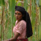 Maize farmer in Nepal