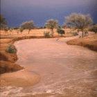 The plan aims to harness the solar power of the desert
