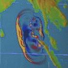 Early warning systems could have saved lives in the 2004 tsunami