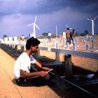 Wind farms in India can help mitigate climate change
