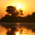 Okavango Delta at sunset