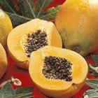 Genetically Modified Papaya