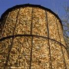 Corn stored for ethanol production &mdash; Brazil has used ethanol as a 'biofuel' for 30 years