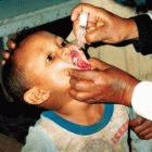Eradication of polio through immunisation may be cheaper in the long term