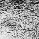 Rain puddles