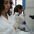 Laboratorio