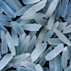 Rice grains
