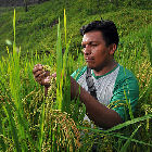 Rice researcher in Bolivia