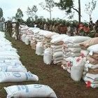 Could GM foods help to alleviate the suffering of famine-stricken communities in Africa?