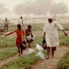 Farming is far from easy in the arid Sahel