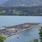 Salmonera en Seno Reloncaví, Chile