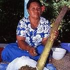 Samoan healer grinding Mamala bark