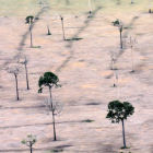 Deforestation in the Amazon Deforestation in the Amazon