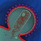 Illustration of the HIV virus