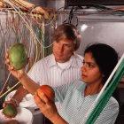 Labs can maintain collaboration without fuelling the brain drain