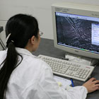 Investigadora 
