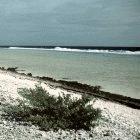Rising sea levels threaten to cause serious problems in low-lying regions