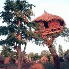 An elevated seed storage shelter in Mozambique