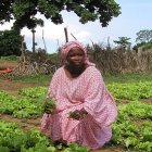 Senegal farmer
