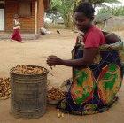 Shelling groundnuts in Malawi