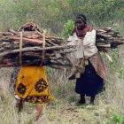 Women collecting wood in eastern Kenya