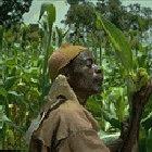 The challenge for ACP countries is to find resources for large-scale biofuel production