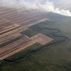 Terrenos para cultuvo de soya en Bolivia