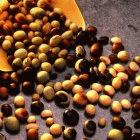  Brazil, Argentina, and China, are the leading soya bean producers after the United States