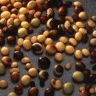 Researchers have examined 17,000 types of soybean