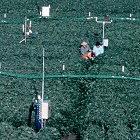 A FACE soybean field trial in which CO2 is released from pipes above the crop