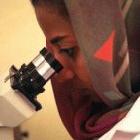 Sudanese and Egyptian scientists will work together