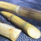 Sugar cane juice is a popular drink in Brazil