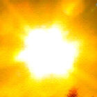 The sun