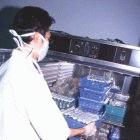 Testing TB bacteria for resistance to drugs including isoniazid