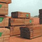 Wood certified for export, Pokola, Northern Congo