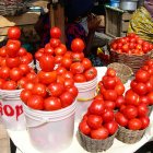 Tomatoes for sale in a market in Accra, Ghana