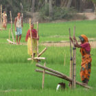 Using treadle pumps in India