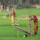 Using treadle pumps in India