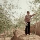 Chinese biologists will be able to view species as soon as the field workers capture the images