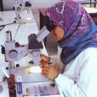 Libya and the US plan to boost cooperation in science and technology